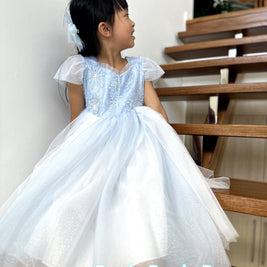 Deluxe Elsa Frozen costume party dress – Glitter snowflake princess cosplay , Aged 3-10