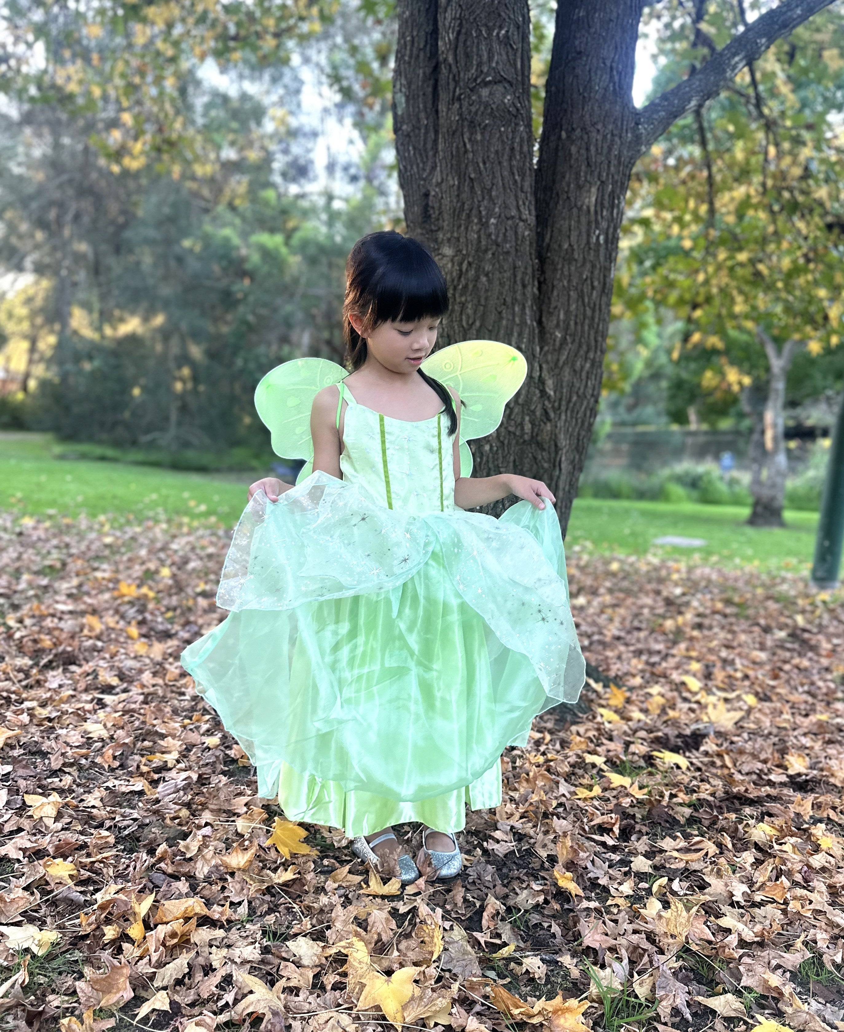 Tinker Bell fairy costume, Princess Tiana Party dress