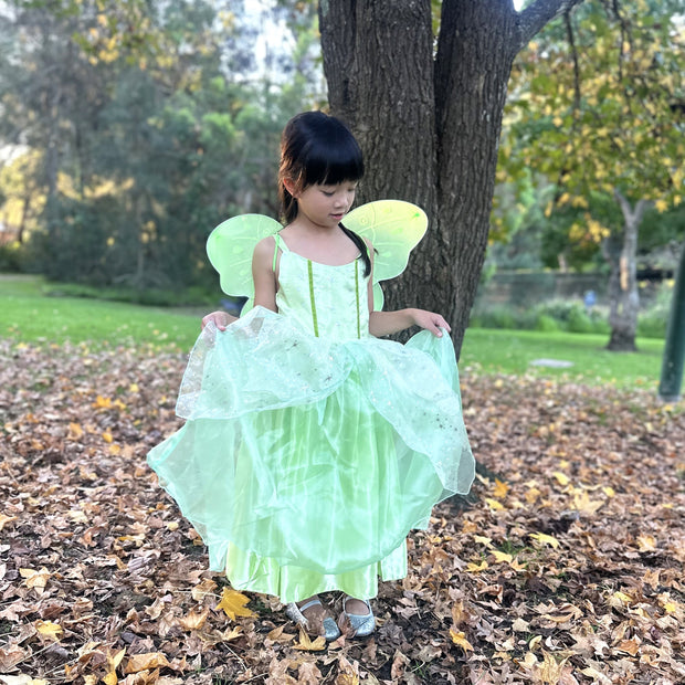 Tinker Bell fairy costume, Princess Tiana Party dress