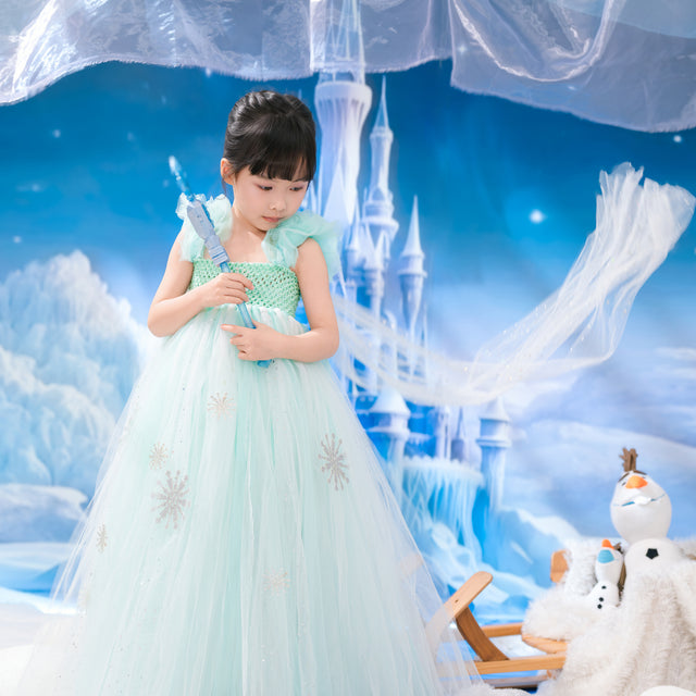 Frozen Elsa Green Mint tutu dress, Party Queen dress
