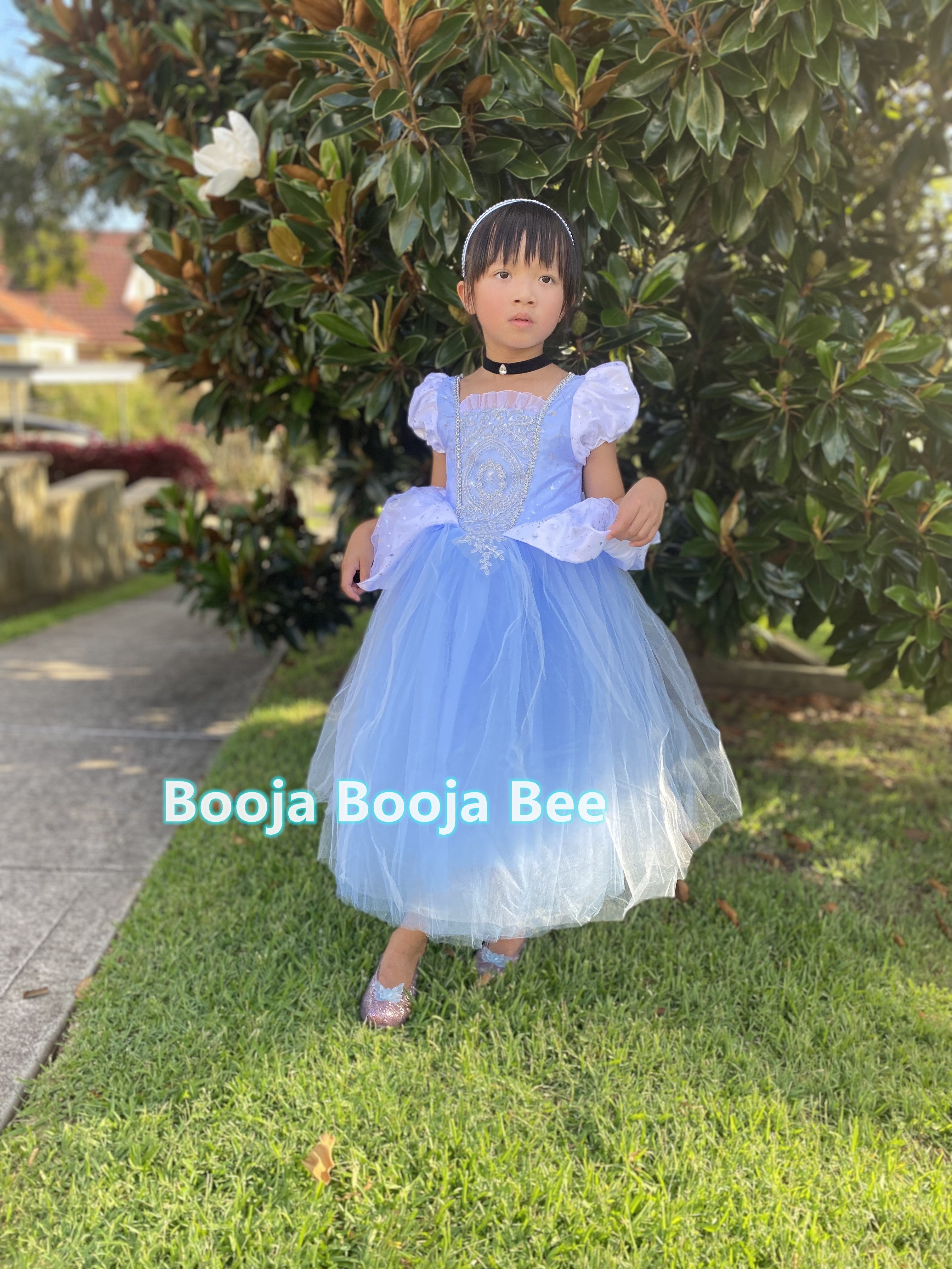 Cinderella princess costume dress, girls birthday gift, Fairy tale attire gown, aged 2-7