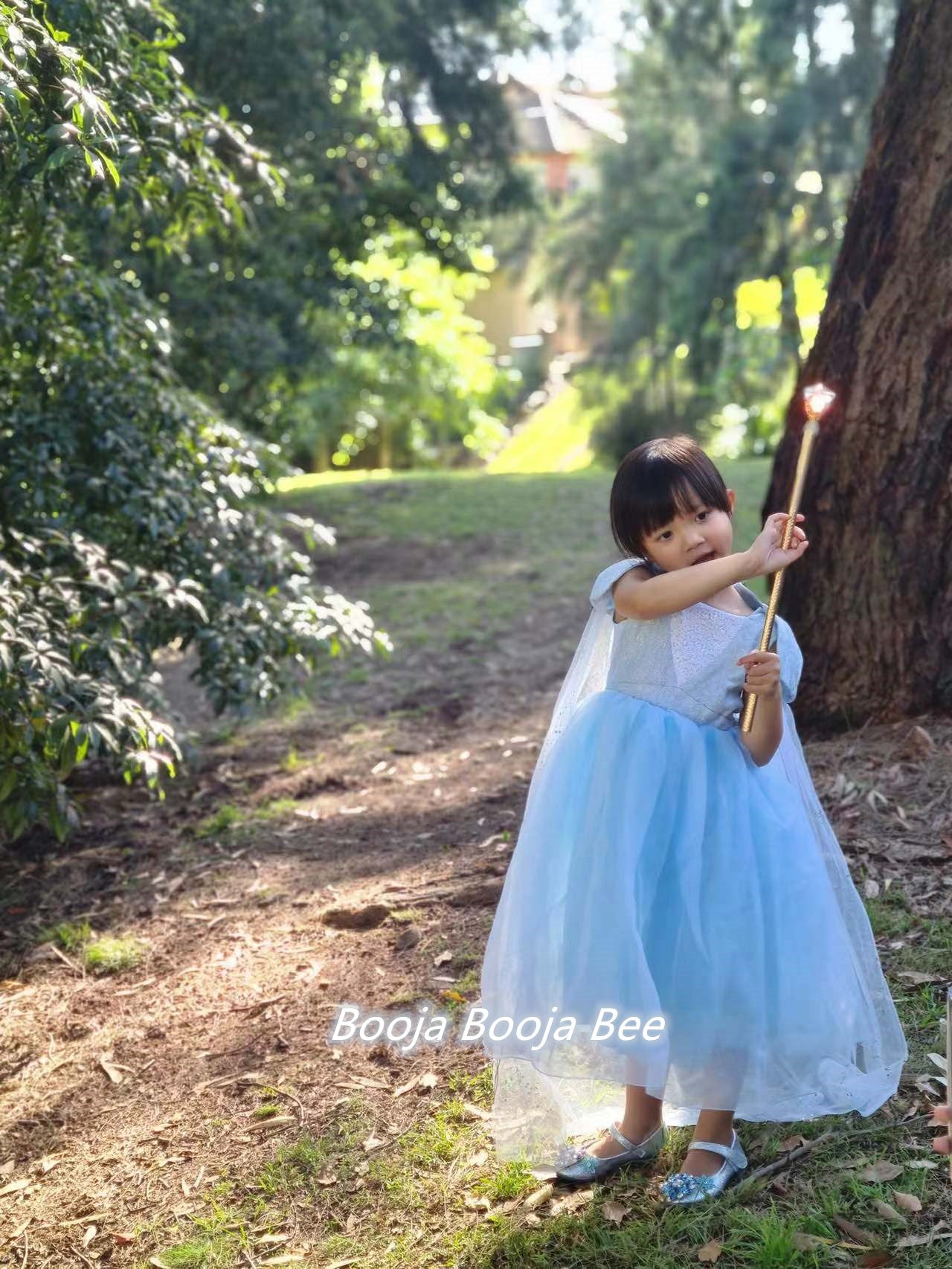 Frozen Elsa birthday costume, Disney princess party dress, girls aged 2-11