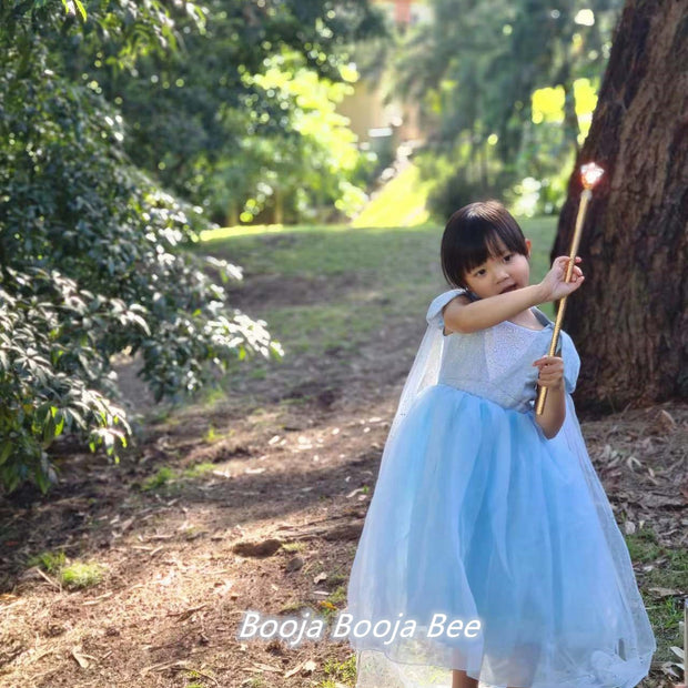 Frozen Elsa birthday costume, Disney princess party dress, girls aged 2-11