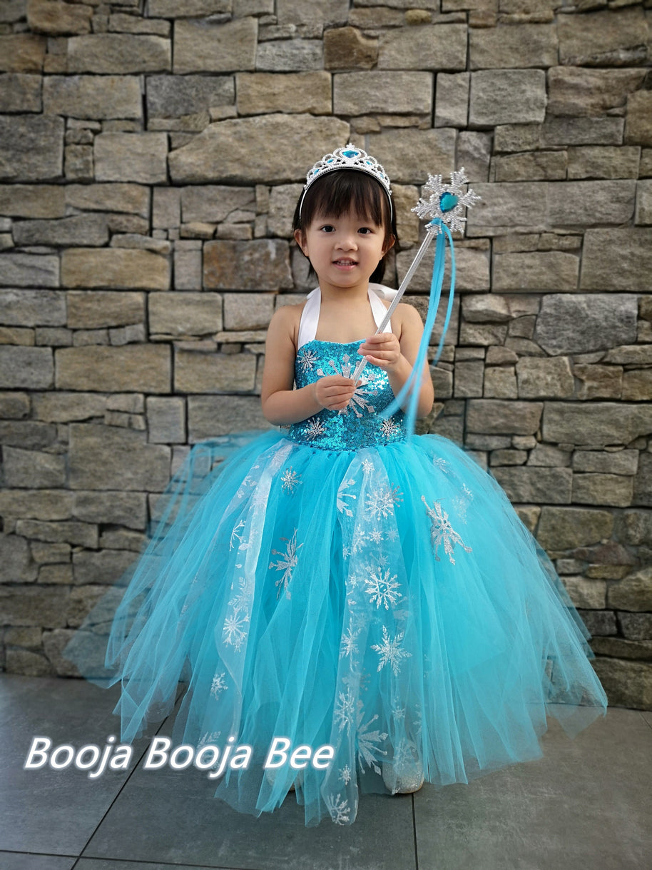Frozen Elsa Enchanting tutu dress for Birthday, Princess Party Magical Outfits