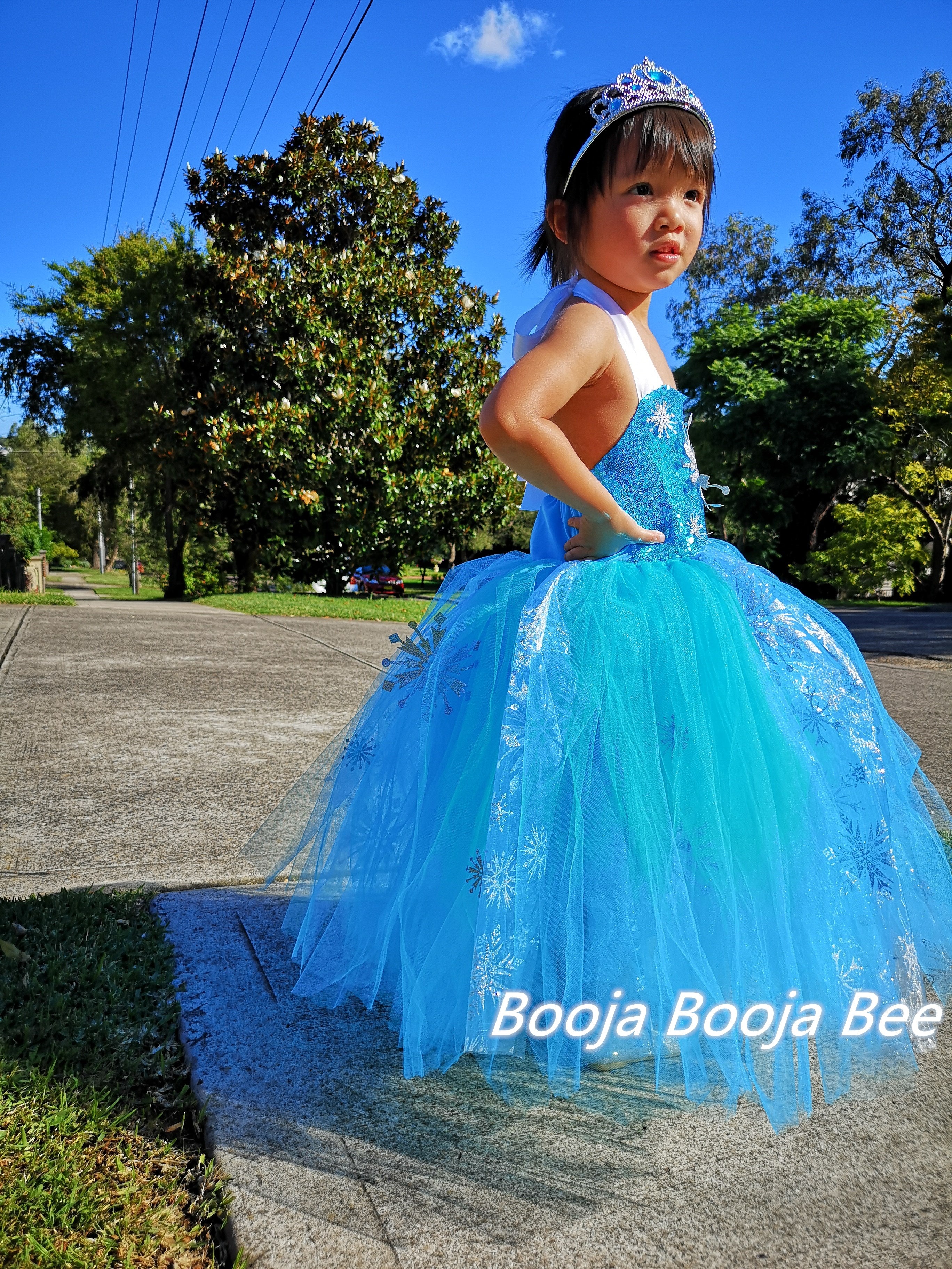 Frozen Elsa Enchanting tutu dress for Birthday, Princess Party Magical Outfits
