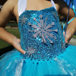 Frozen Elsa Enchanting tutu dress for Birthday, Princess Party Magical Outfits