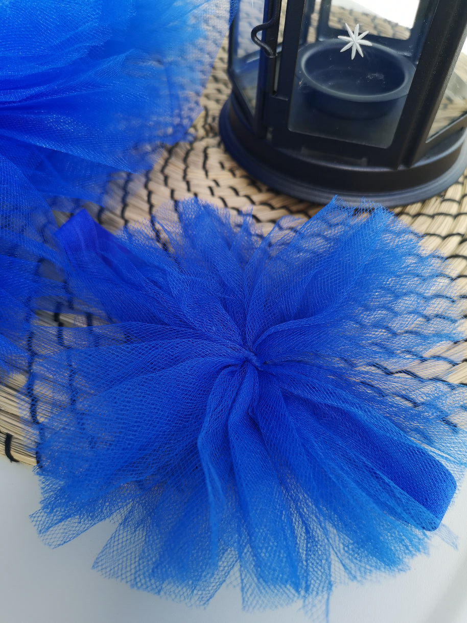 Cookie Monster blue fluffy tutu skirt, Sesame Street themed party, 1st baby girl birthday wear, Aged 1-2 cute outfits