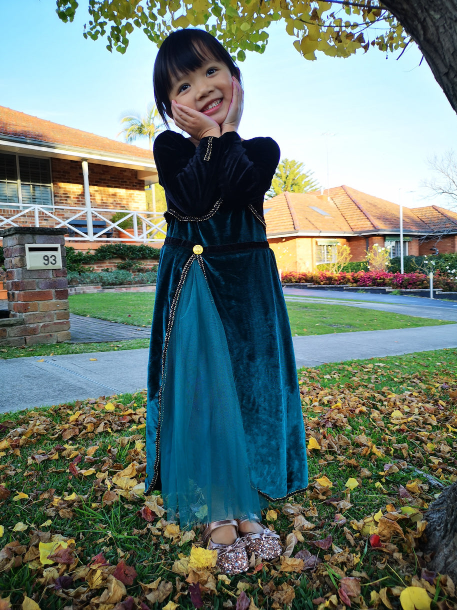 Frozen Queen Anna coronation long sleeves dress, Girls toddler birthday winter costume cape set
