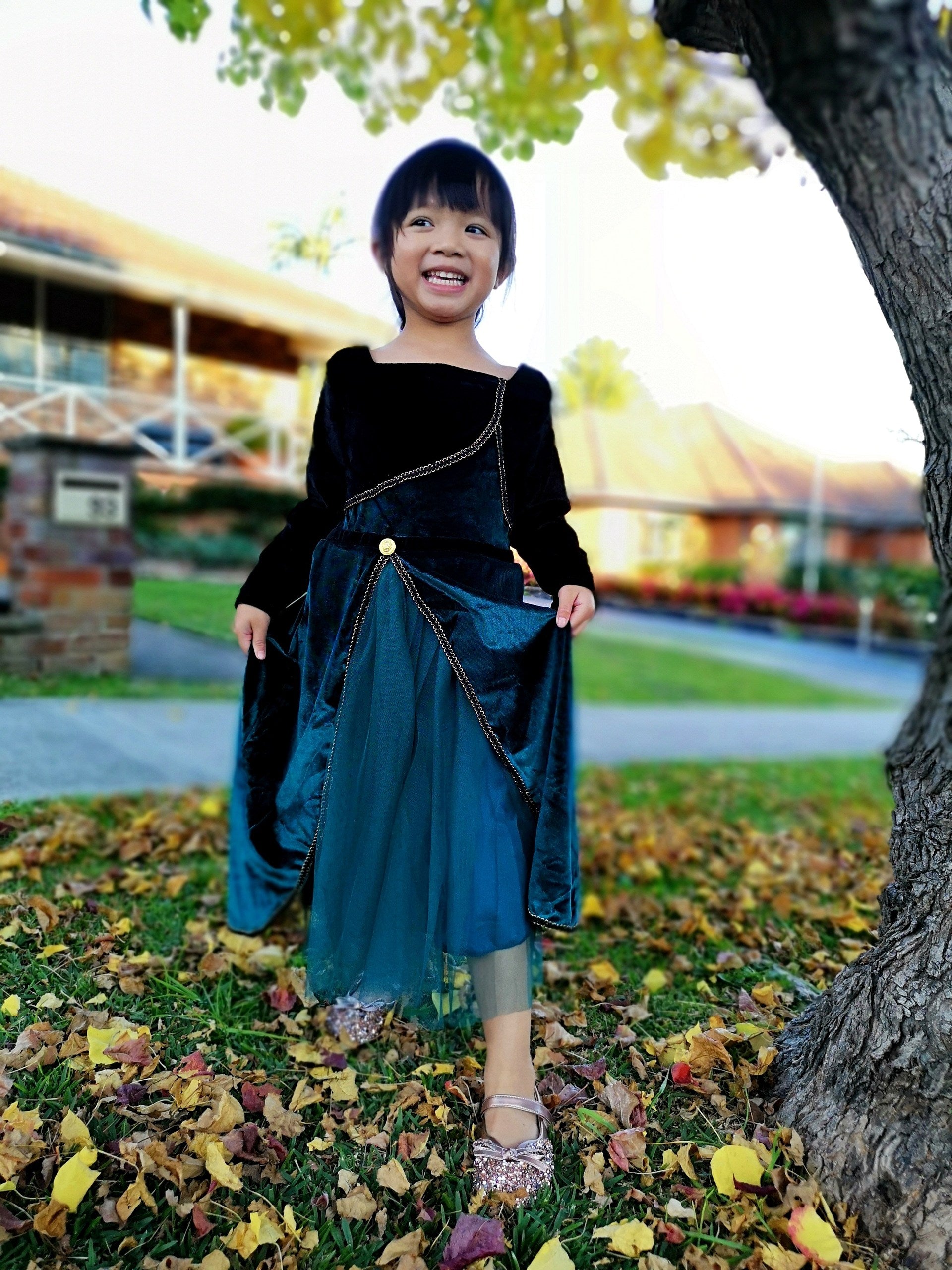 Frozen Queen Anna coronation long sleeves dress, Girls toddler birthday winter costume cape set