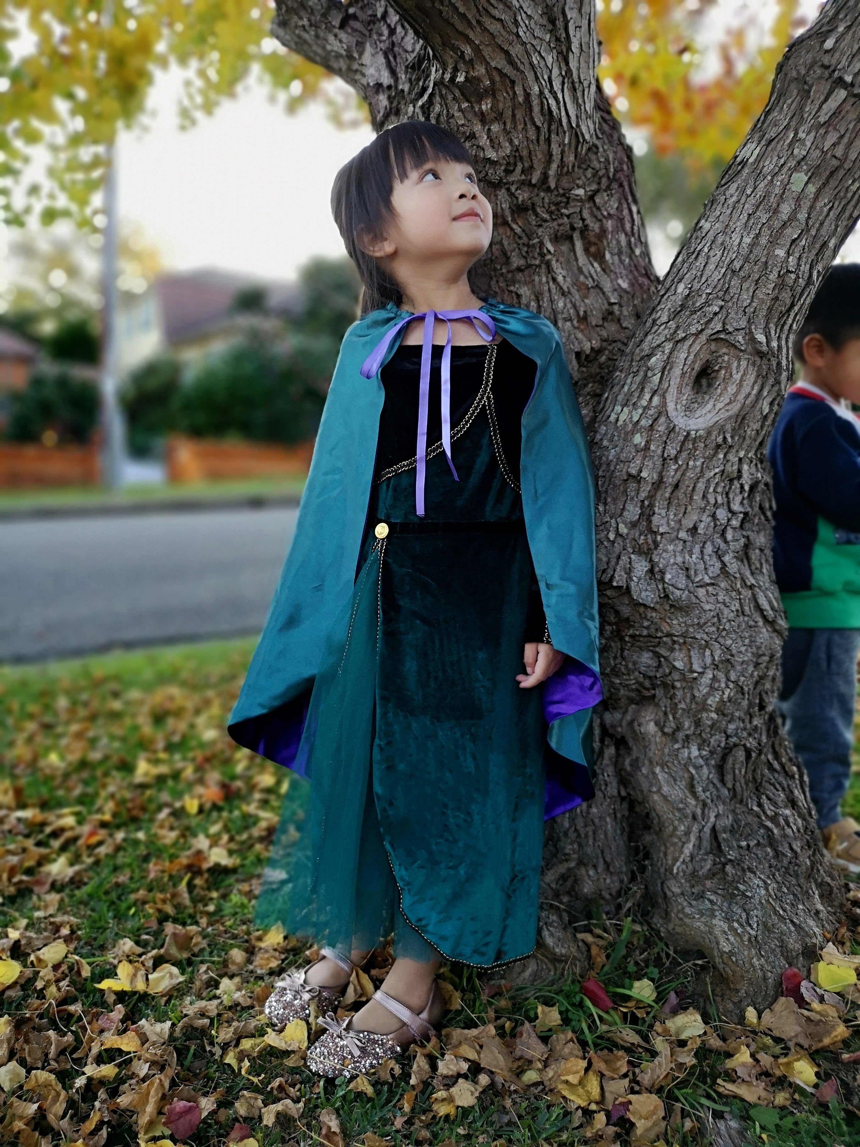 Frozen Queen Anna coronation long sleeves dress, Girls toddler birthday winter costume cape set
