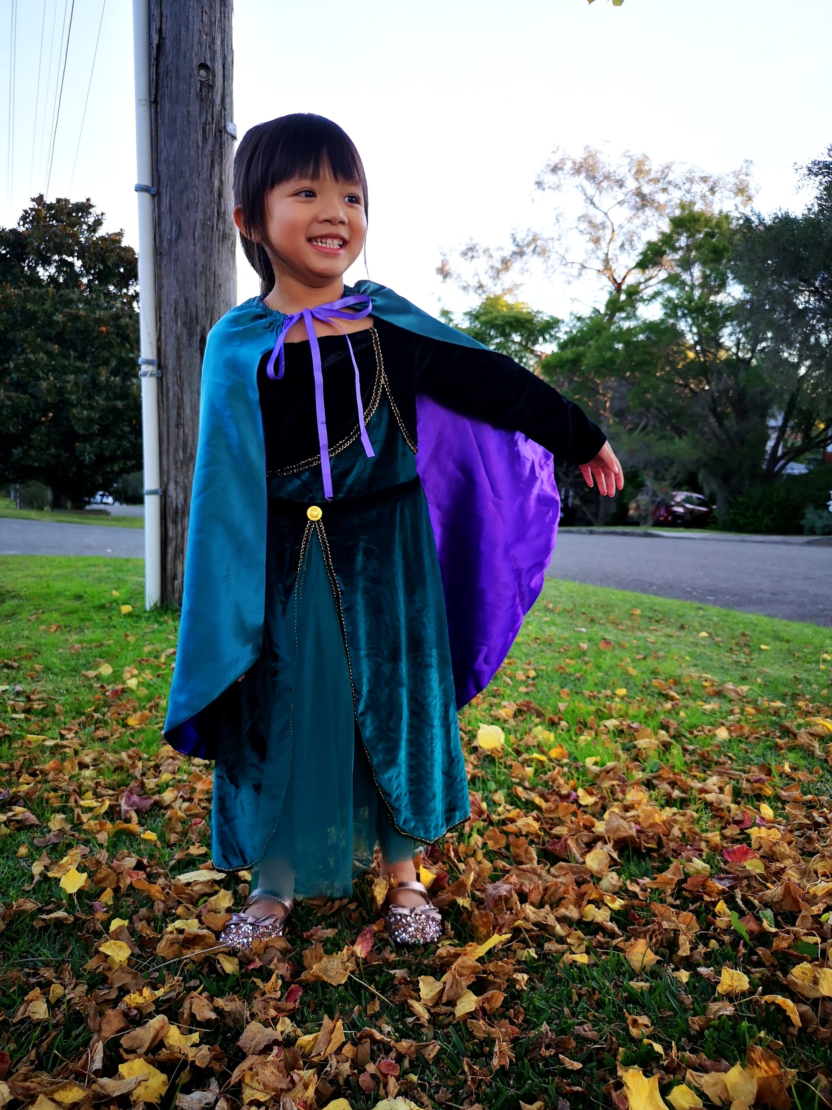 Frozen Queen Anna coronation long sleeves dress, Girls toddler birthday winter costume cape set