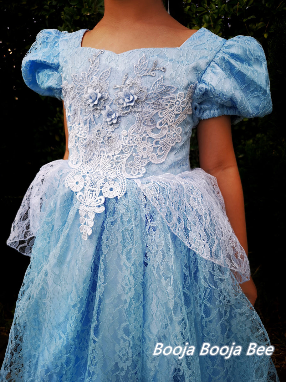 Cinderella Princess Floral Lace Dress, Girls birthday costume
