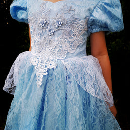 Cinderella Princess Floral Lace Dress, Girls birthday costume