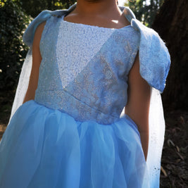 Frozen Elsa birthday costume, Disney princess party dress, girls aged 2-11