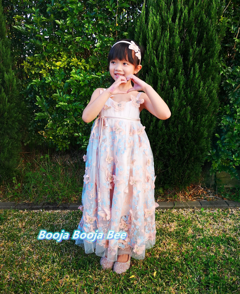 3D Butterflies light beige pink lace dress, A line embroidery girls gown dress