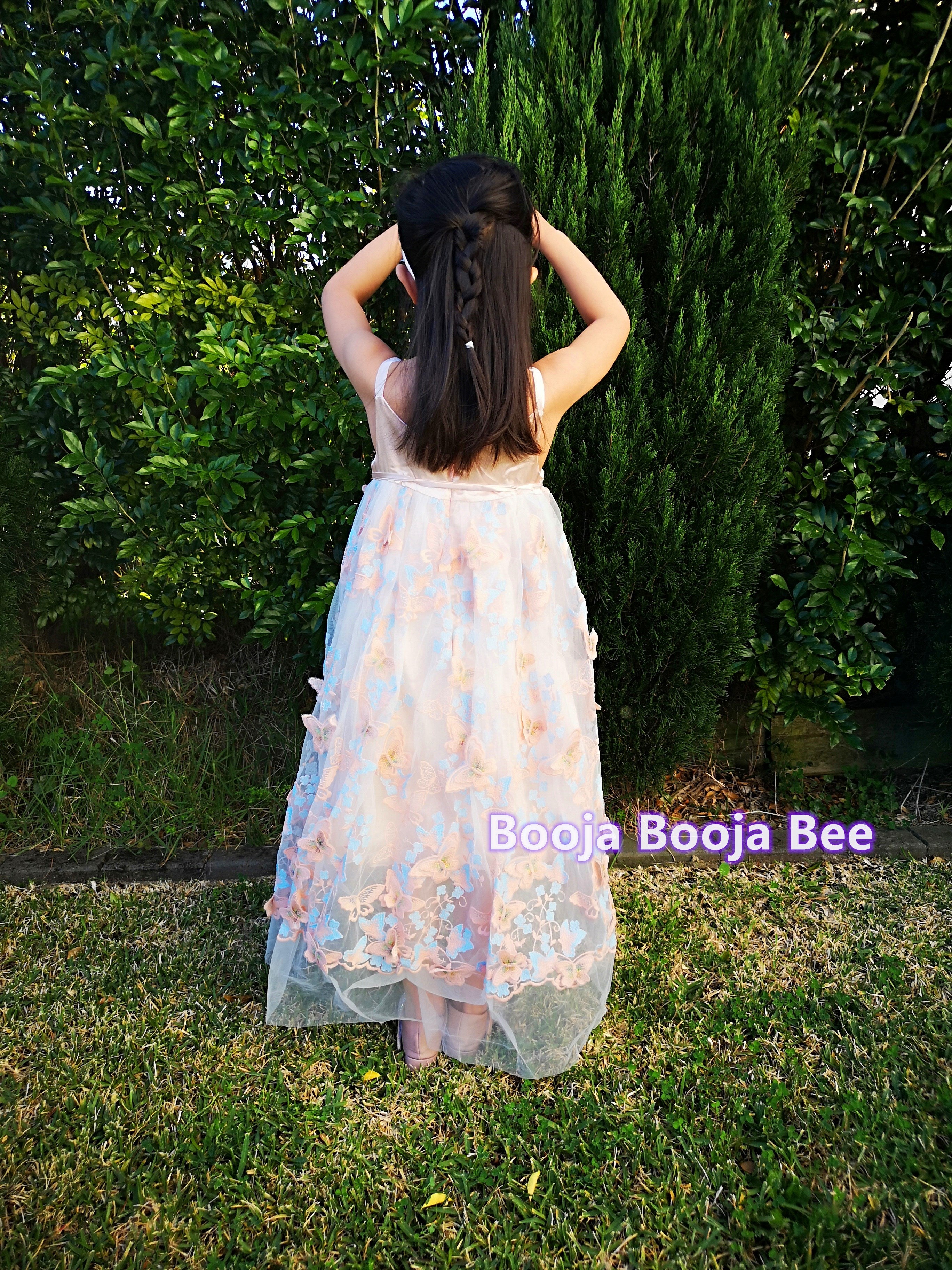 3D Butterflies light beige pink lace dress, A line embroidery girls gown dress