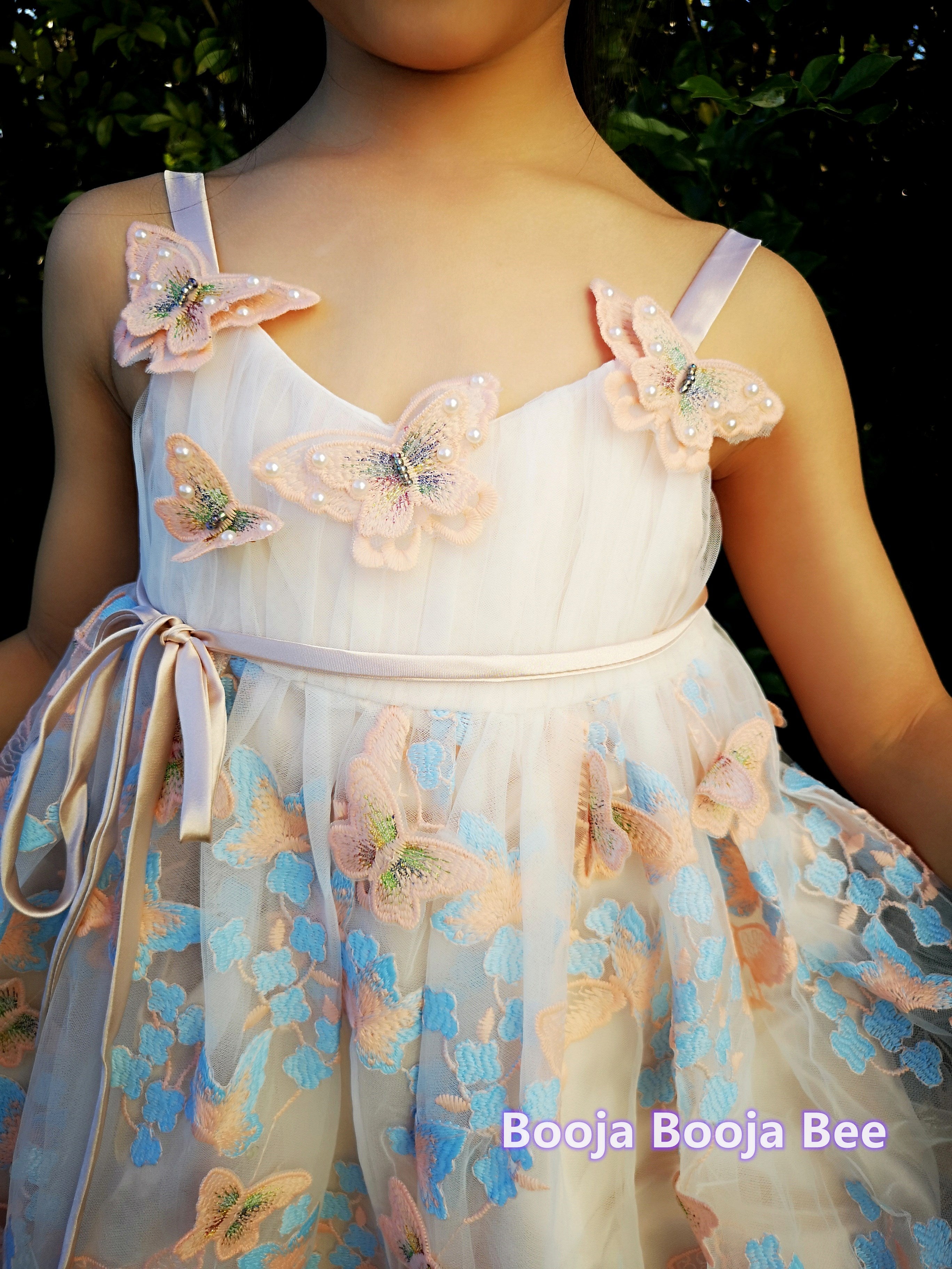 3D Butterflies light beige pink lace dress, A line embroidery girls gown dress
