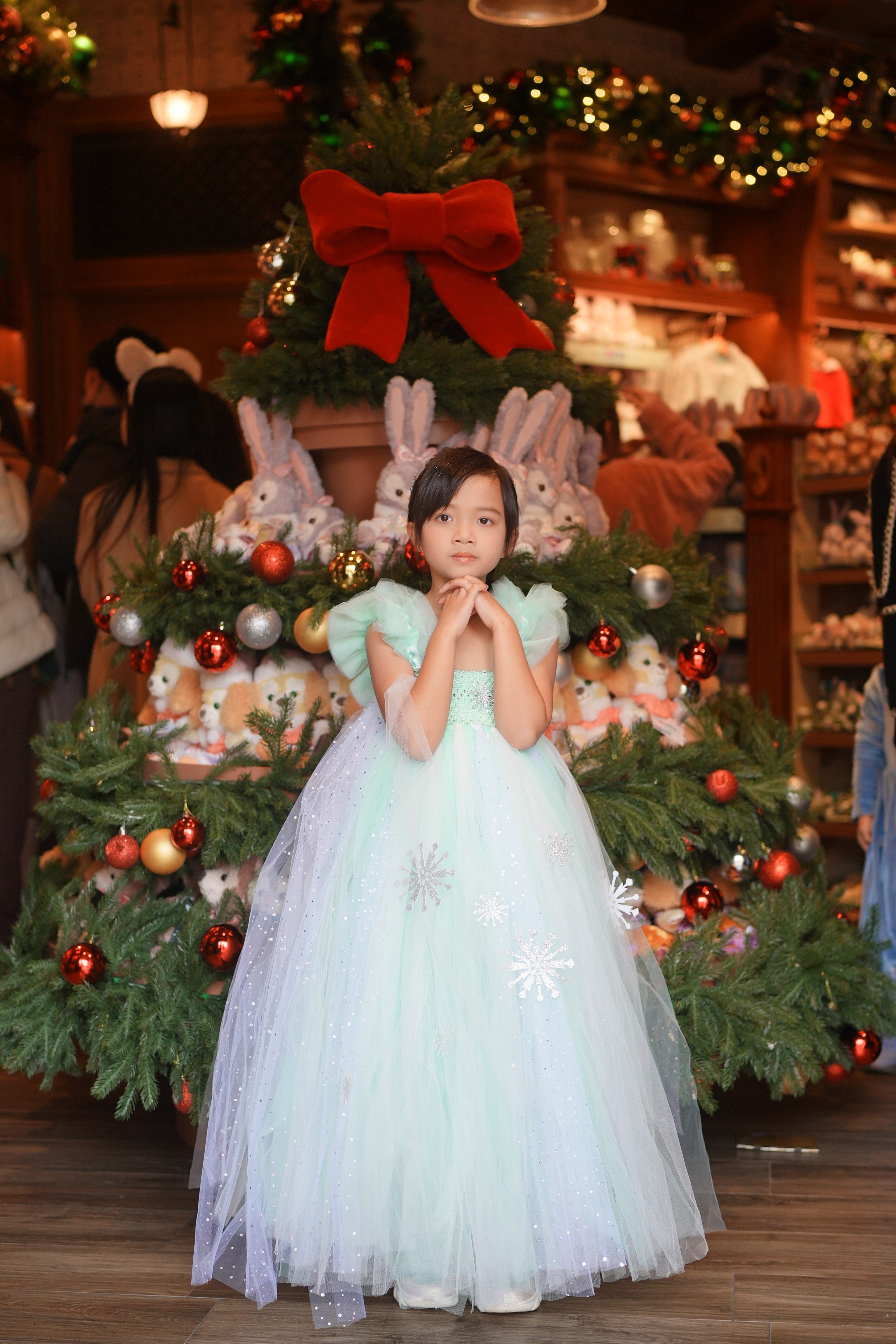 Frozen Elsa Green Mint tutu dress, Party Queen dress