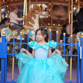 Cinderella Grand Ball gown dress, 3D Butterflies blue dress, Fairytale cosplay outfits, Magic costume