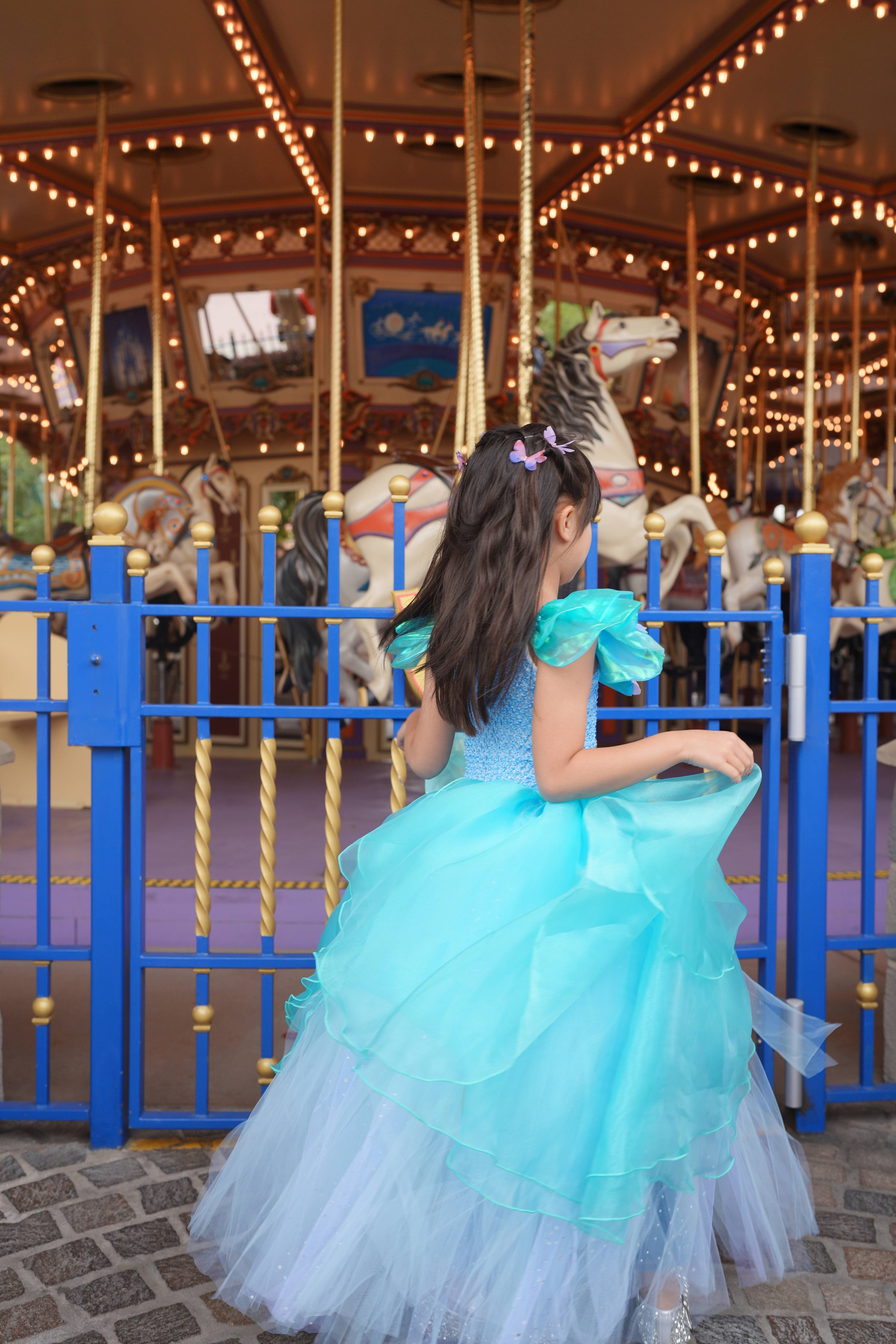 Cinderella butterfly blue tutu dress, Girls ball gown