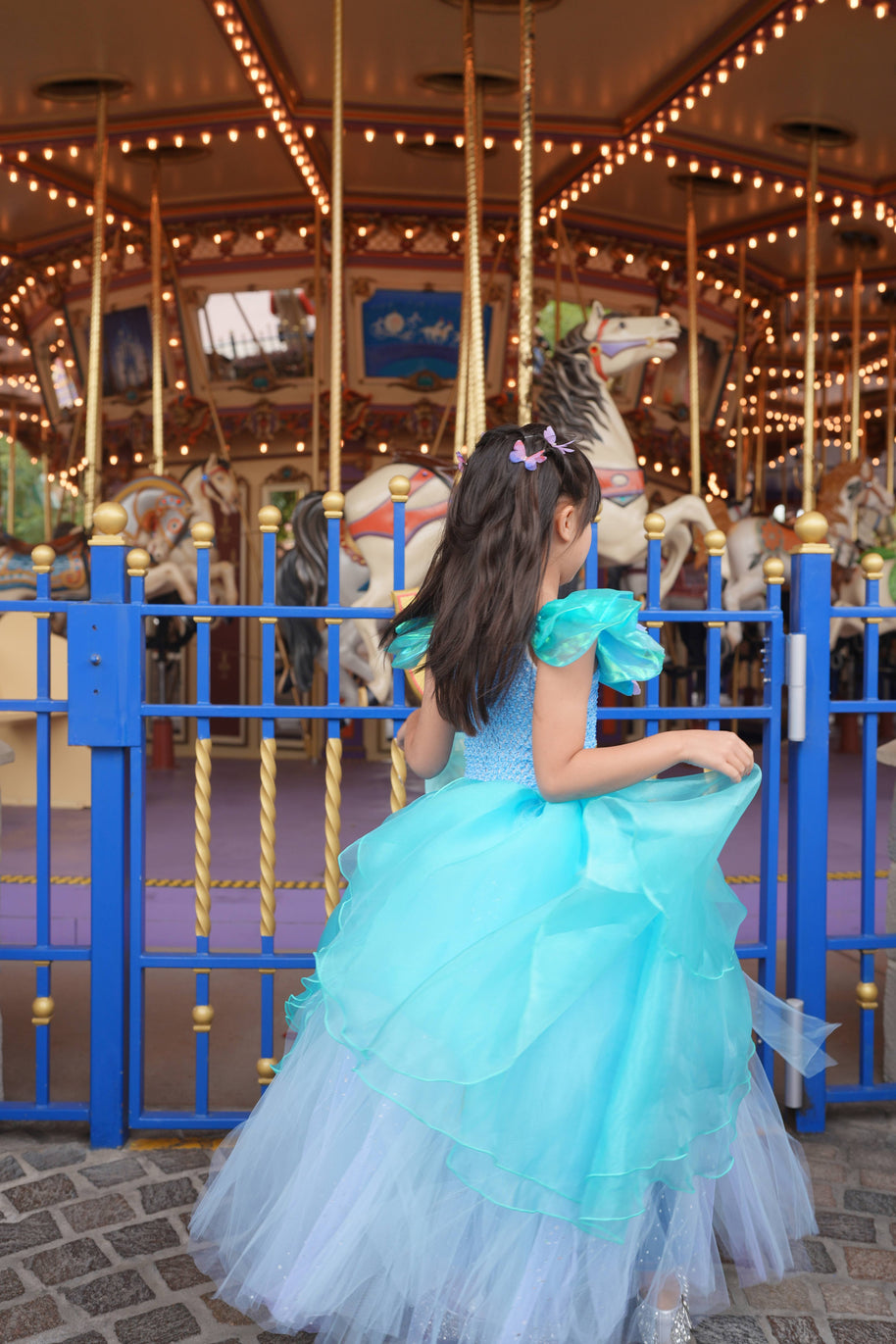 Cinderella butterfly blue tutu dress, Girls ball gown
