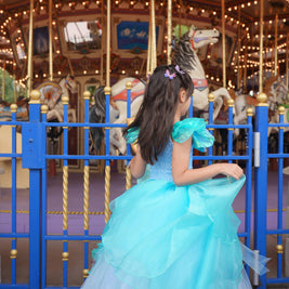Cinderella butterfly blue tutu dress, Girls ball gown