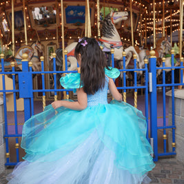Cinderella butterfly blue tutu dress, Girls ball gown