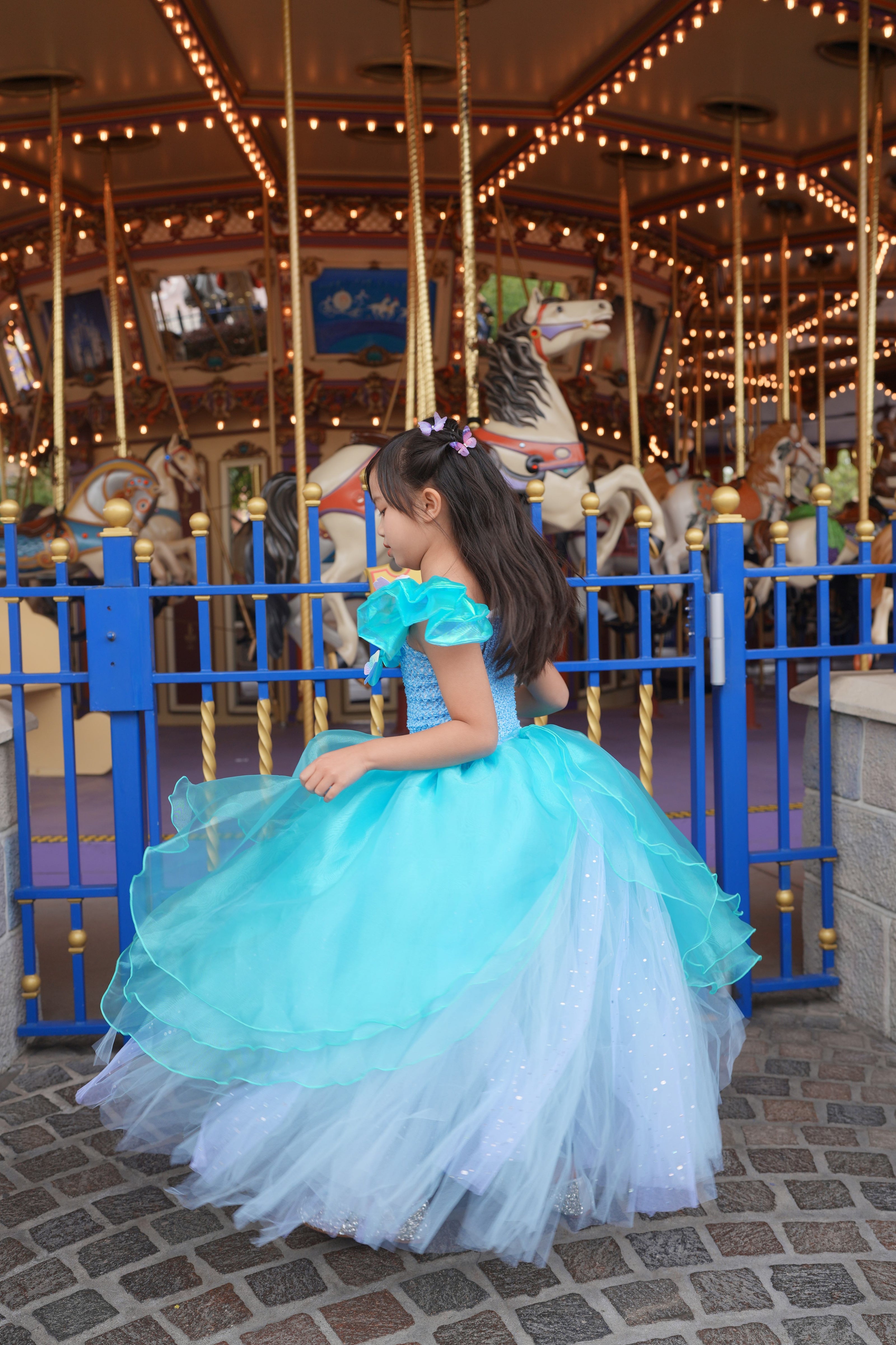 Cinderella butterfly blue tutu dress, Girls ball gown
