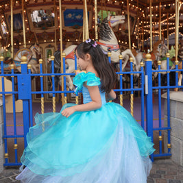 Cinderella butterfly blue tutu dress, Girls ball gown