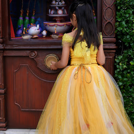 Beauty and the Beast Belle luxury princess party tutu dress