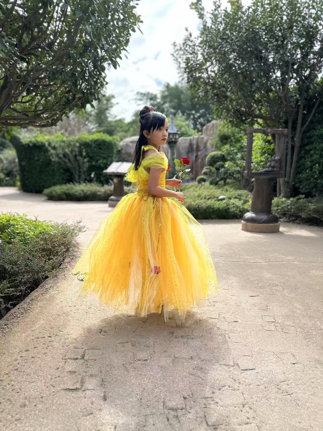 Beauty and the Beast Belle luxury princess party tutu dress