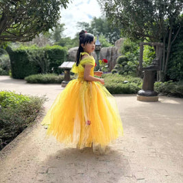 Beauty and the Beast Belle luxury princess party tutu dress
