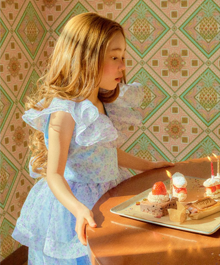 Floral blue ruffles sleeves girls birthday dress