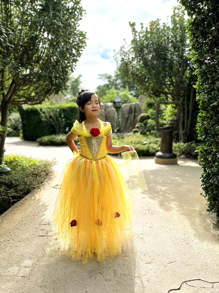 Beauty and the Beast Belle luxury princess party tutu dress