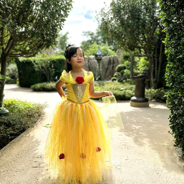 Beauty and the Beast Belle luxury princess party tutu dress
