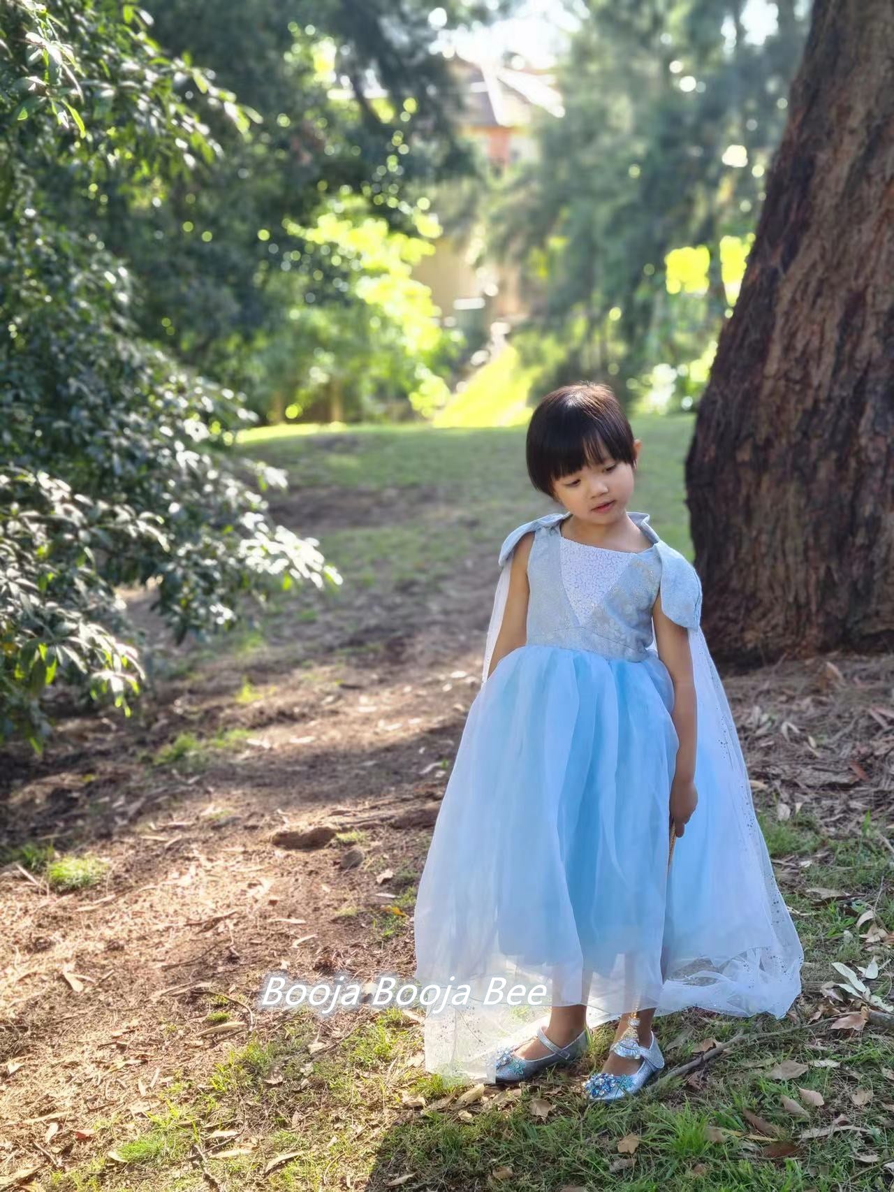 Frozen Elsa birthday costume, Disney princess party dress, girls aged 2-11