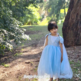 Frozen Elsa birthday costume, Disney princess party dress, girls aged 2-11