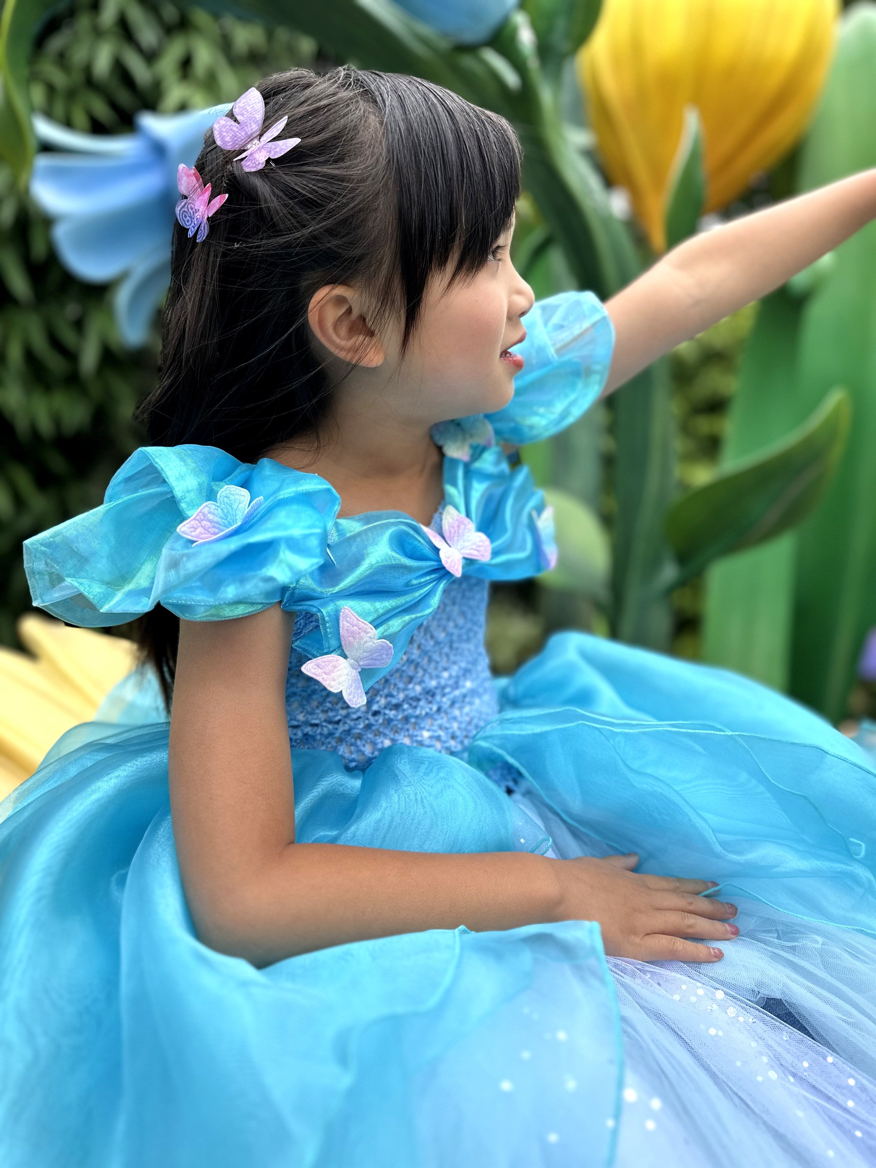 Cinderella Grand Ball gown dress, 3D Butterflies blue dress, Fairytale cosplay outfits, Magic costume