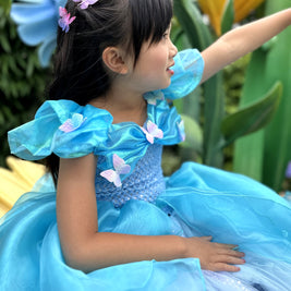 Cinderella Grand Ball gown dress, 3D Butterflies blue dress, Fairytale cosplay outfits, Magic costume
