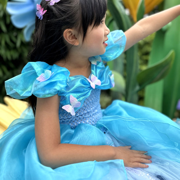 Cinderella Grand Ball gown dress, 3D Butterflies blue dress, Fairytale cosplay outfits, Magic costume