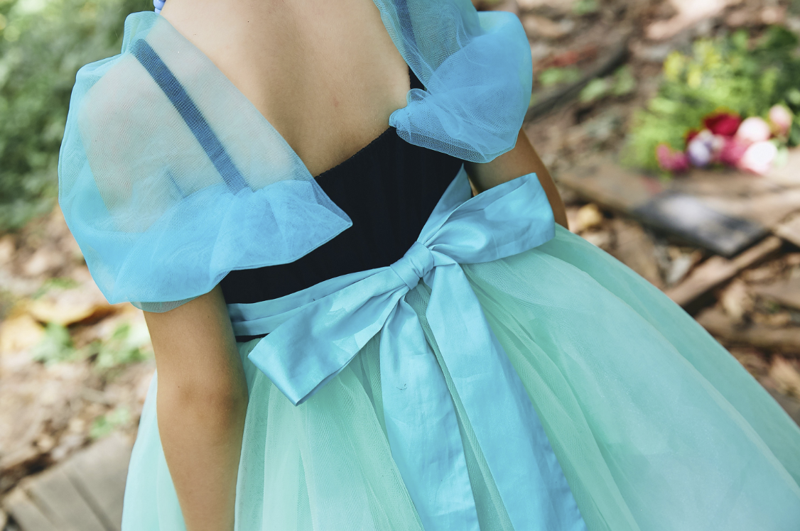 Anna coronation gown dress, Princess cosplay Aged 3-10