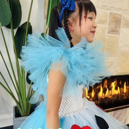 Alice in Wonderland tutu dress,  Storybook time cosplay, tea time party