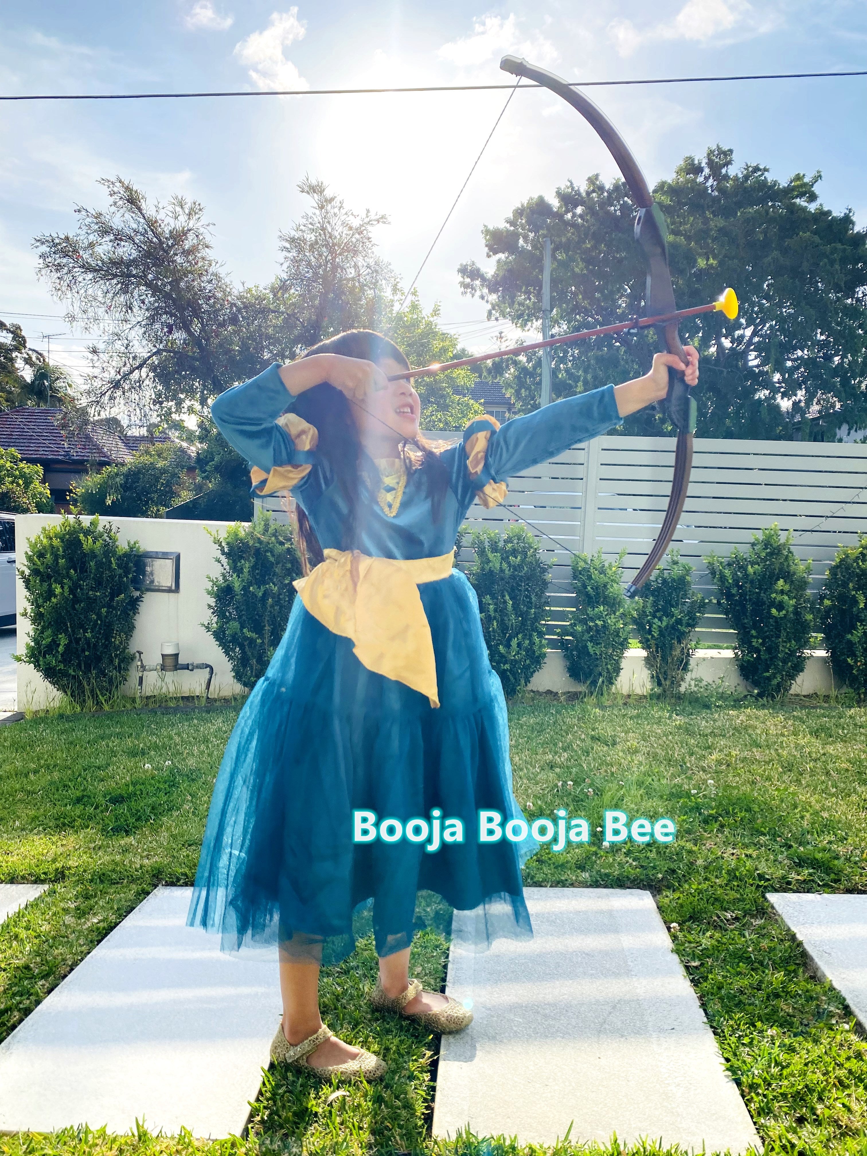Brave Merida deluxe velvet costume, Princess party dark gold ribbon dress