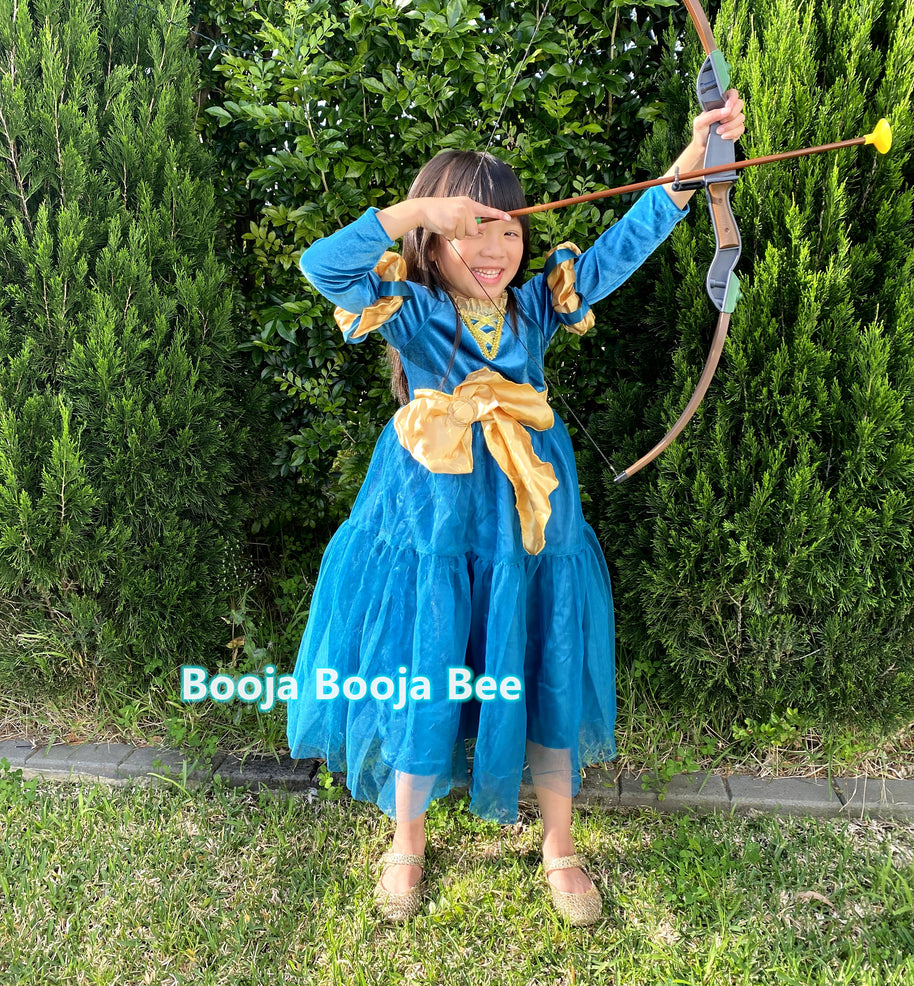 Brave Merida deluxe velvet costume, Princess party dark gold ribbon dress