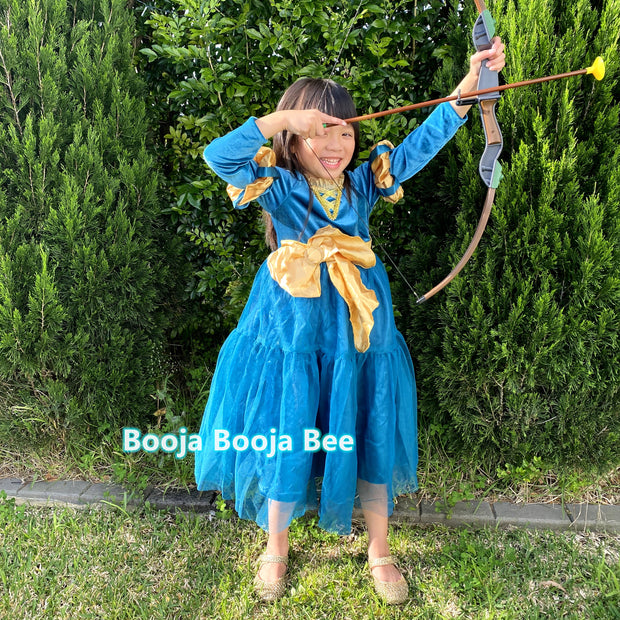 Brave Merida deluxe velvet costume, Princess party dark gold ribbon dress