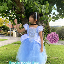 Cinderella princess costume dress, girls birthday gift, Fairy tale attire gown, aged 2-7
