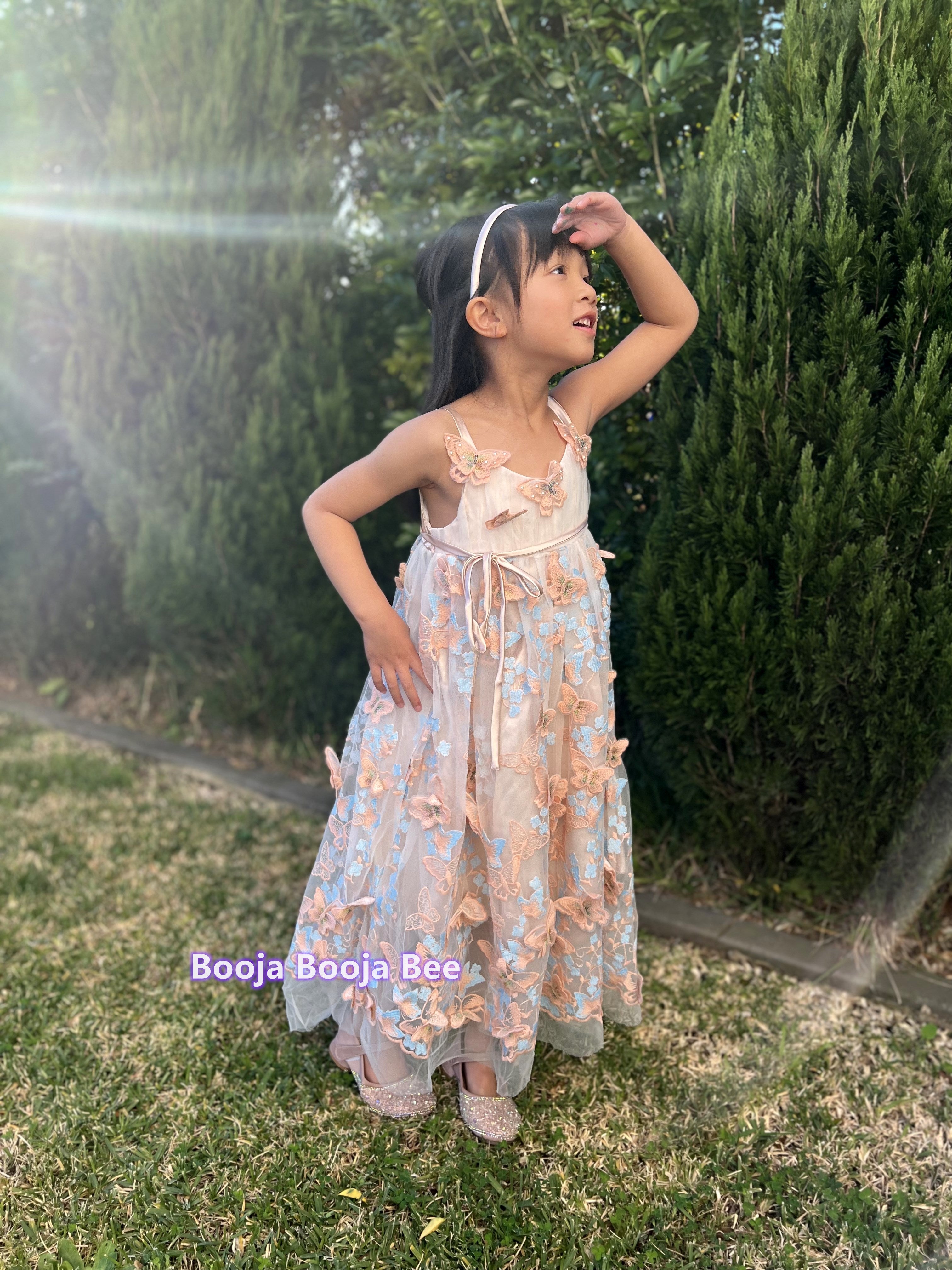 3D Butterflies light beige pink lace dress, A line embroidery girls gown dress