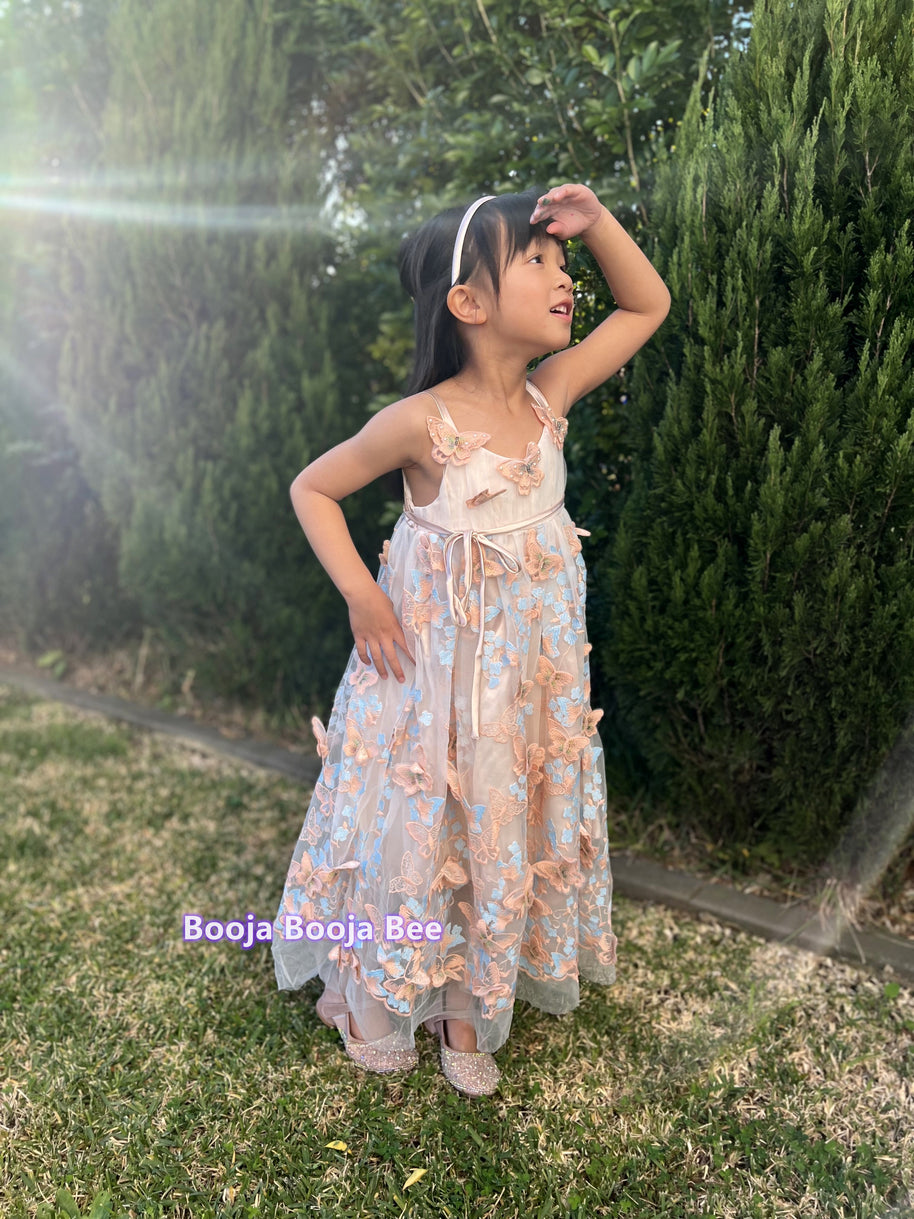 3D Butterflies light beige pink lace dress, A line embroidery girls gown dress