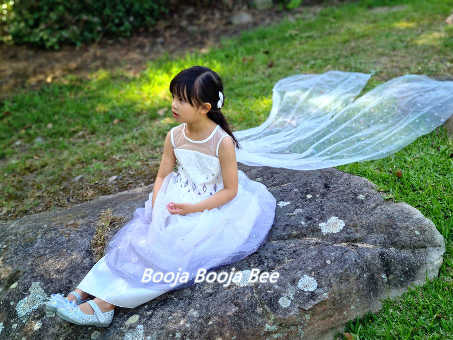 Frozen Elsa ombre sleeveless princess costume, Boho girls birthday costume