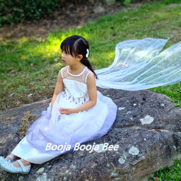 Frozen Elsa ombre sleeveless princess costume, Boho girls birthday costume